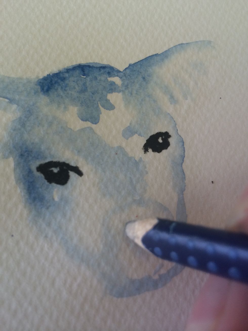 Outline eyes and nose with a black pencil or a fine brush I used a watercolour pencil