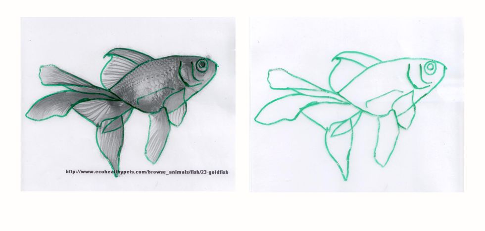 Outline the outer contours of the subject as well as the important inner contours that define specific shapes.  Go slowly and be as exact as possible.  When finished, remove the photo from the sleeve.