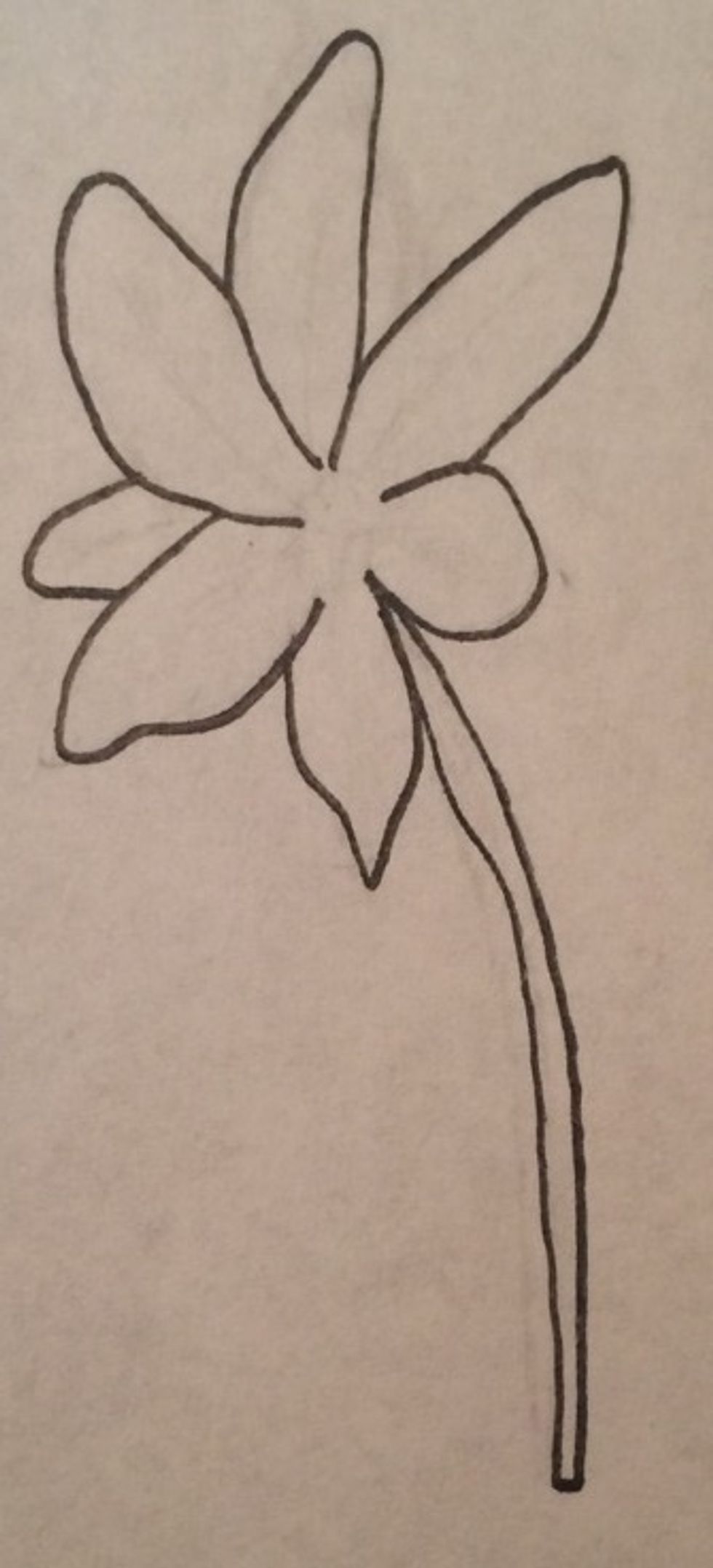 Outline the petals and stem, after that  erase all of the pencil marks left behind
