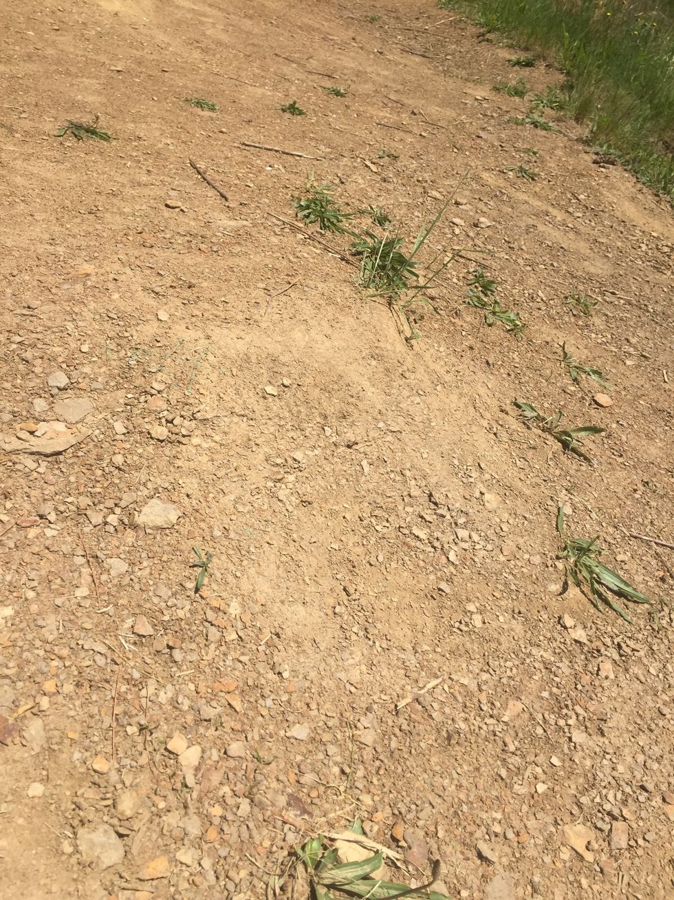 Overtime pieces of rock and dirt weather off (weathering)