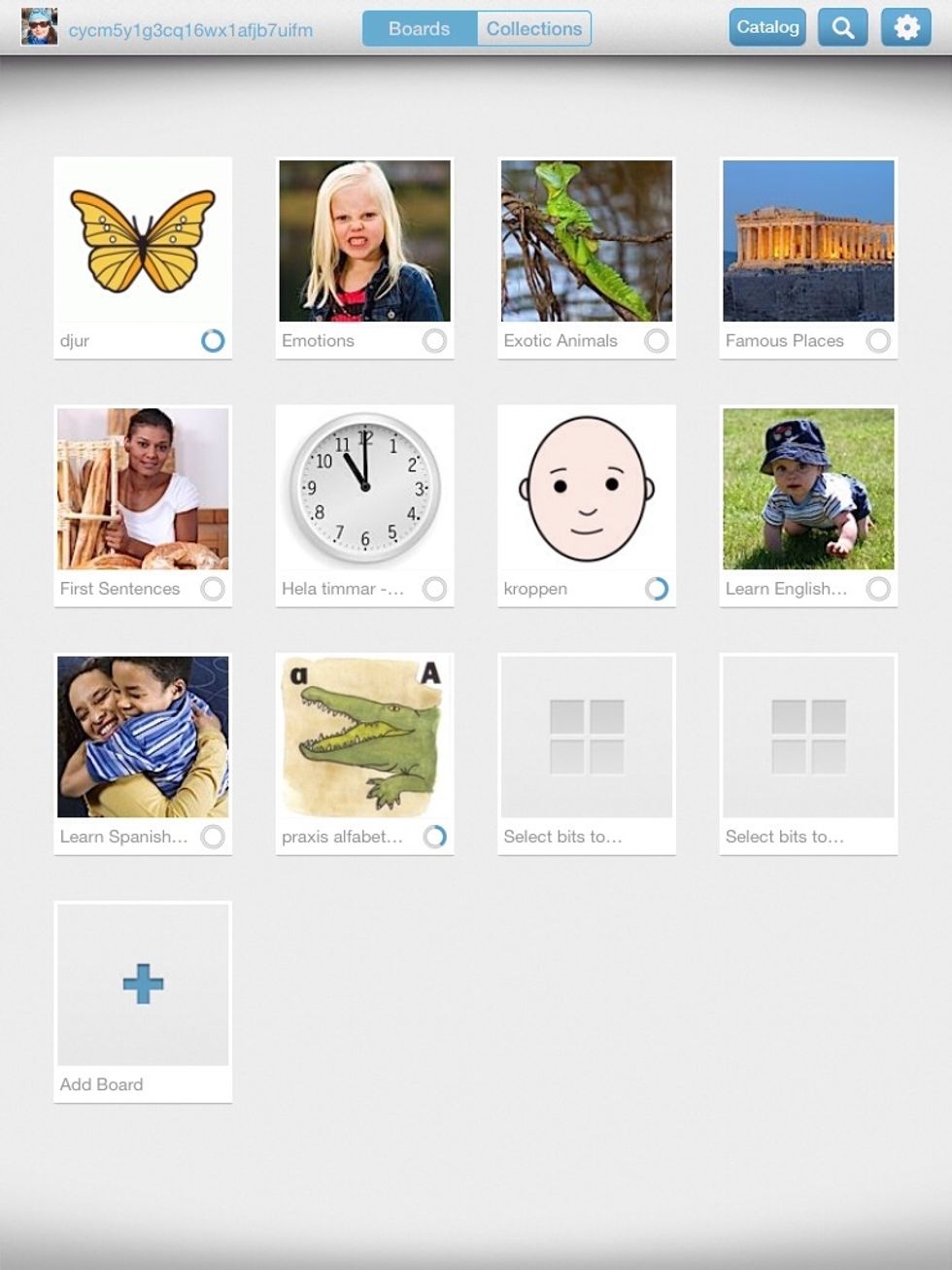 P\u00e5 startsidan finns de kataloger (boards) med bildupps\u00e4ttningar man skapat. Bilderna kan vara fr\u00e5n kamerarullen (galleriet). N\u00e5gra bildupps\u00e4ttningar finns med fr\u00e5n start, exv. "Exotic Animals".