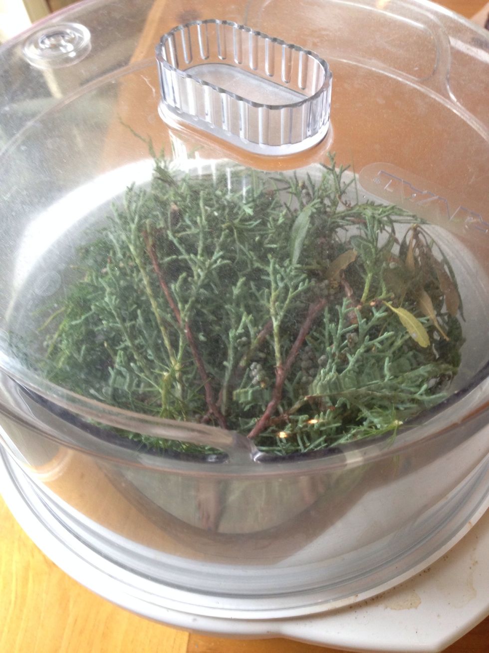 Pack plant materials in the steamer basket and steam away!  Awwww, I left the lid askew so the steamy natural fragrance wafted through my home.
