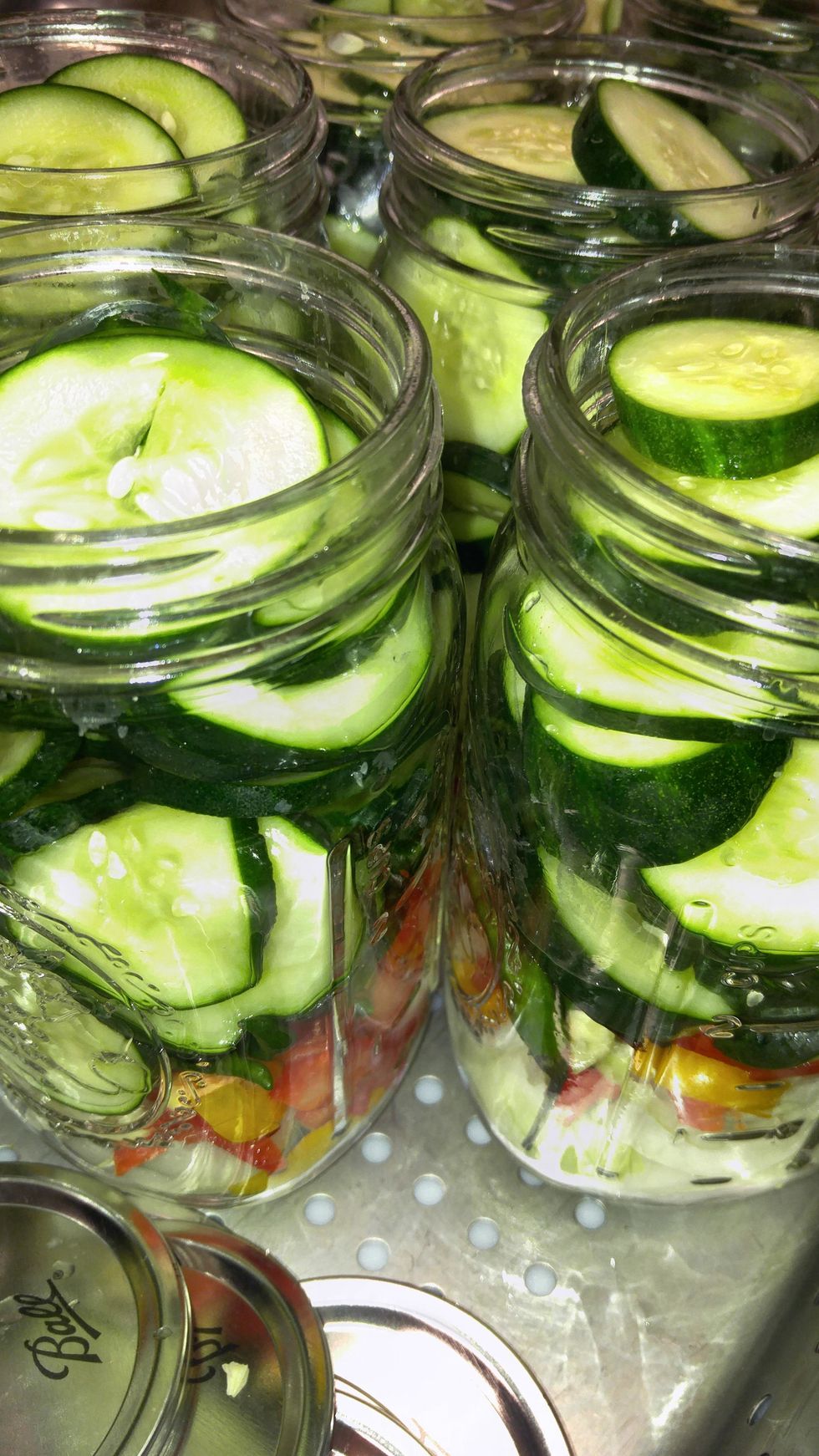 Pack them in tightly as they will cook down slightly after canning. Fill them to the bottom of the threaded lip...just above where the jar starts to bevel in.