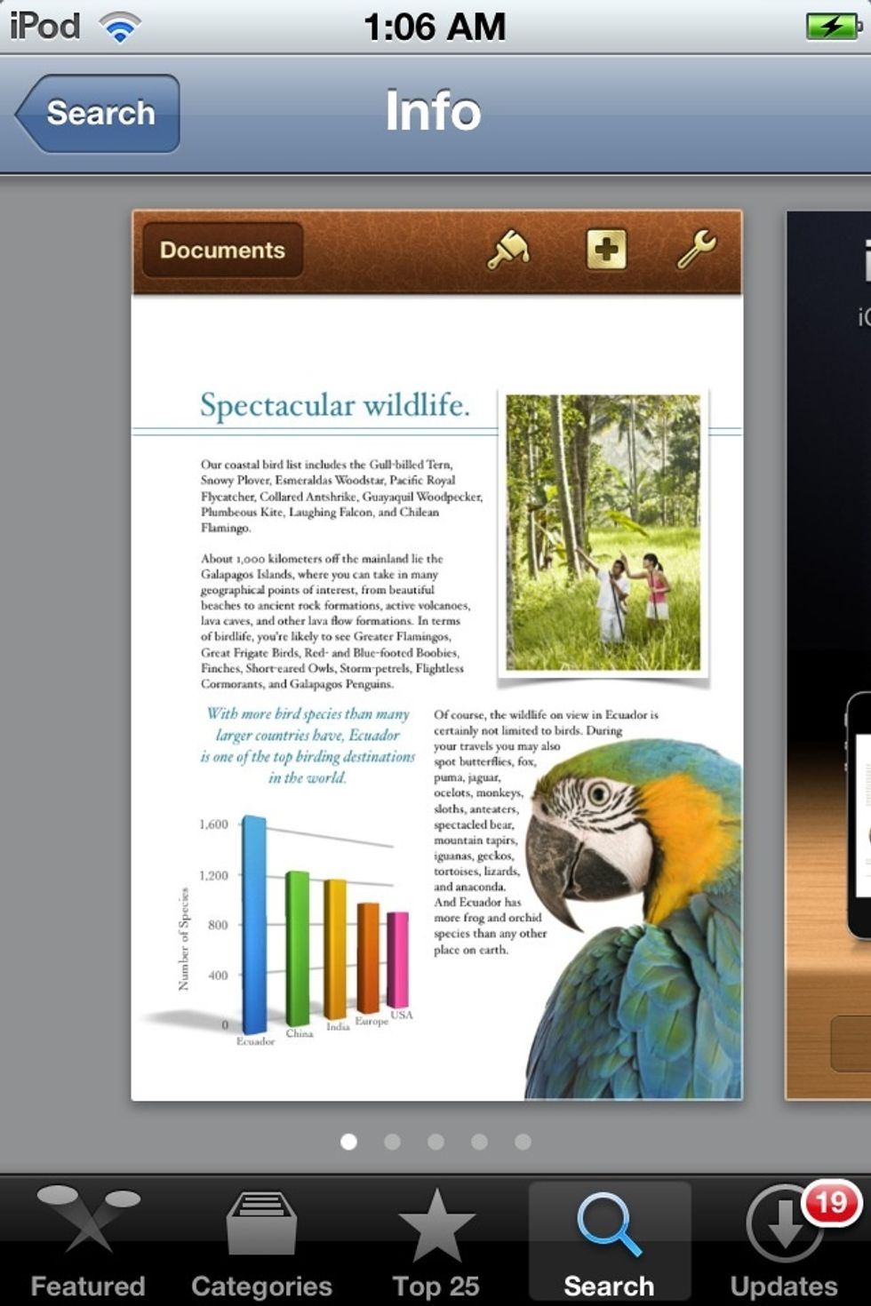PAGES is a gorgeous word processor for IOS. This is Apple's ''Microsoft Word.''