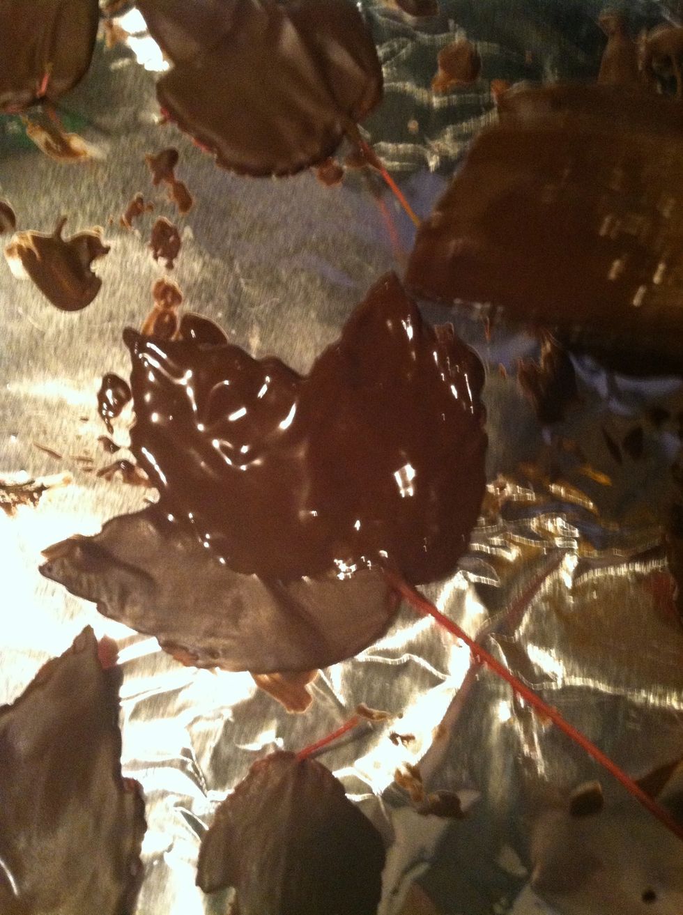 Paint all the leaves with a third coat of chocolate. You might think this is too much, but I've tried it with only two layers of chocolate and the leaves are much more brittle than if you use three.