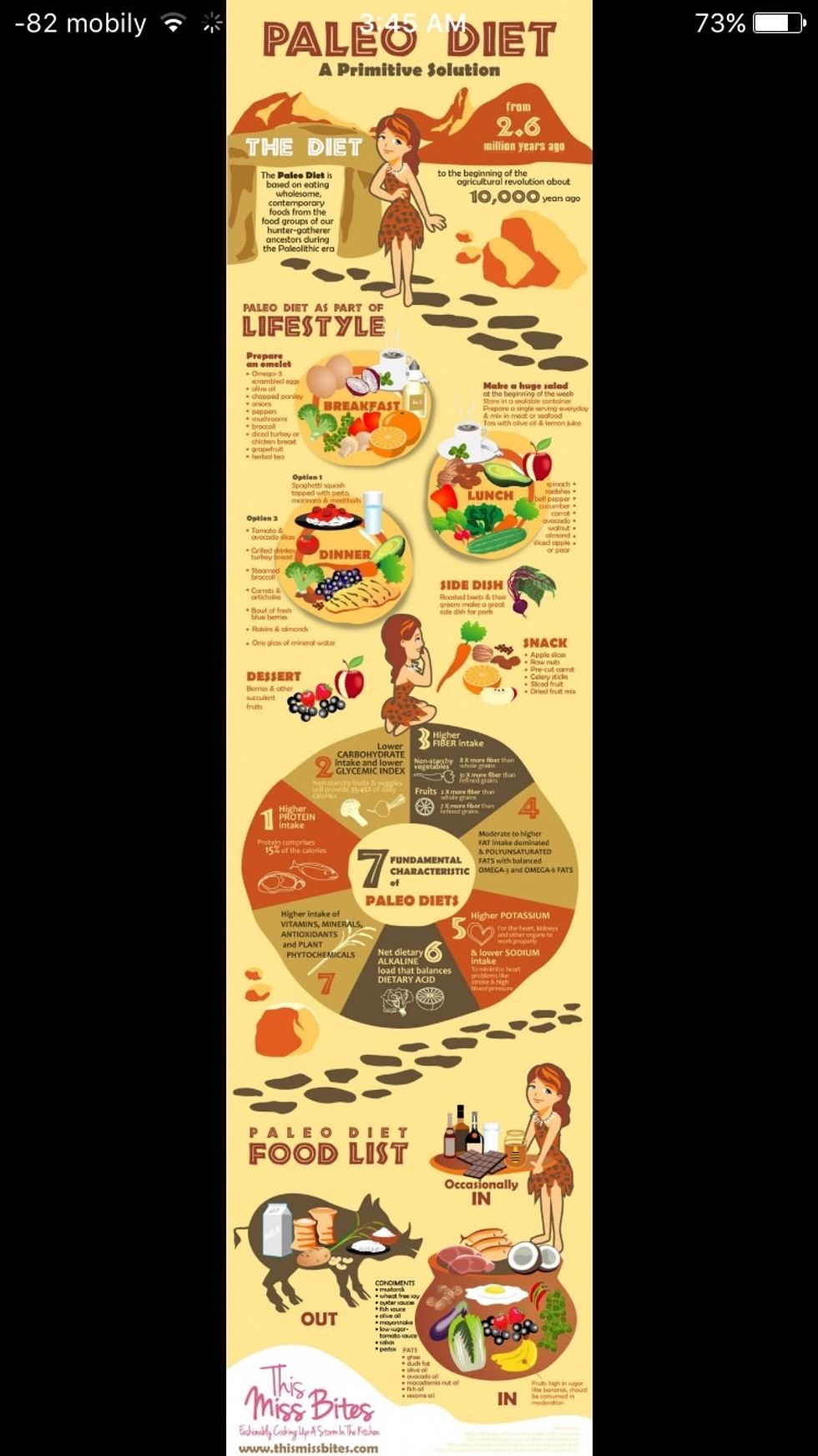 PALEO DIET PLAN FOR BEGINNERS