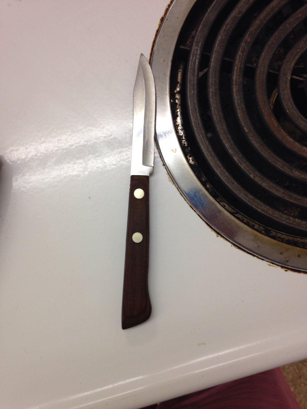 Paring Knife  Used for shaving off the skins of things like apples   I can shave off the skin of an apple using a paring knife