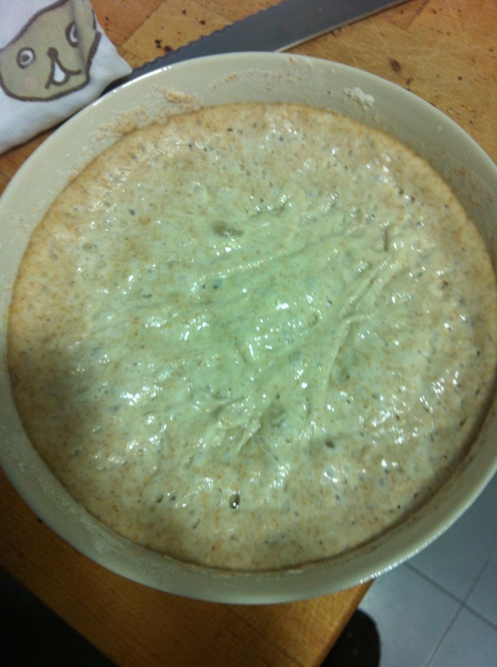 - Part 2 - The next morning the leavener should be all bubbly