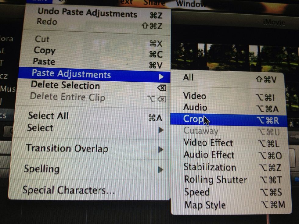 Paste adjustments > crop