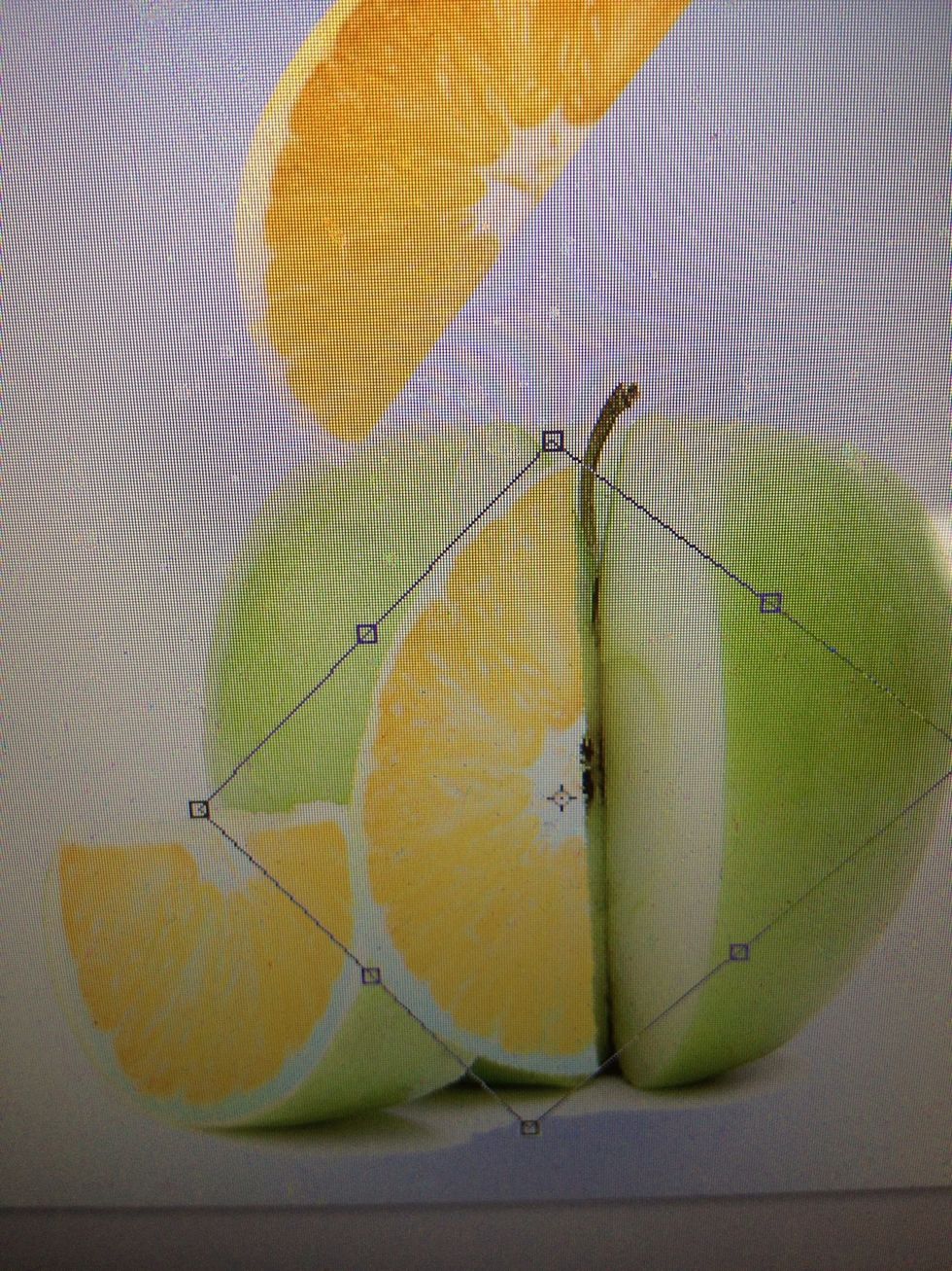 Paste the same piece we used for the slice. Using the same transformation techniques. Let's start adjusting it to match the inside properly