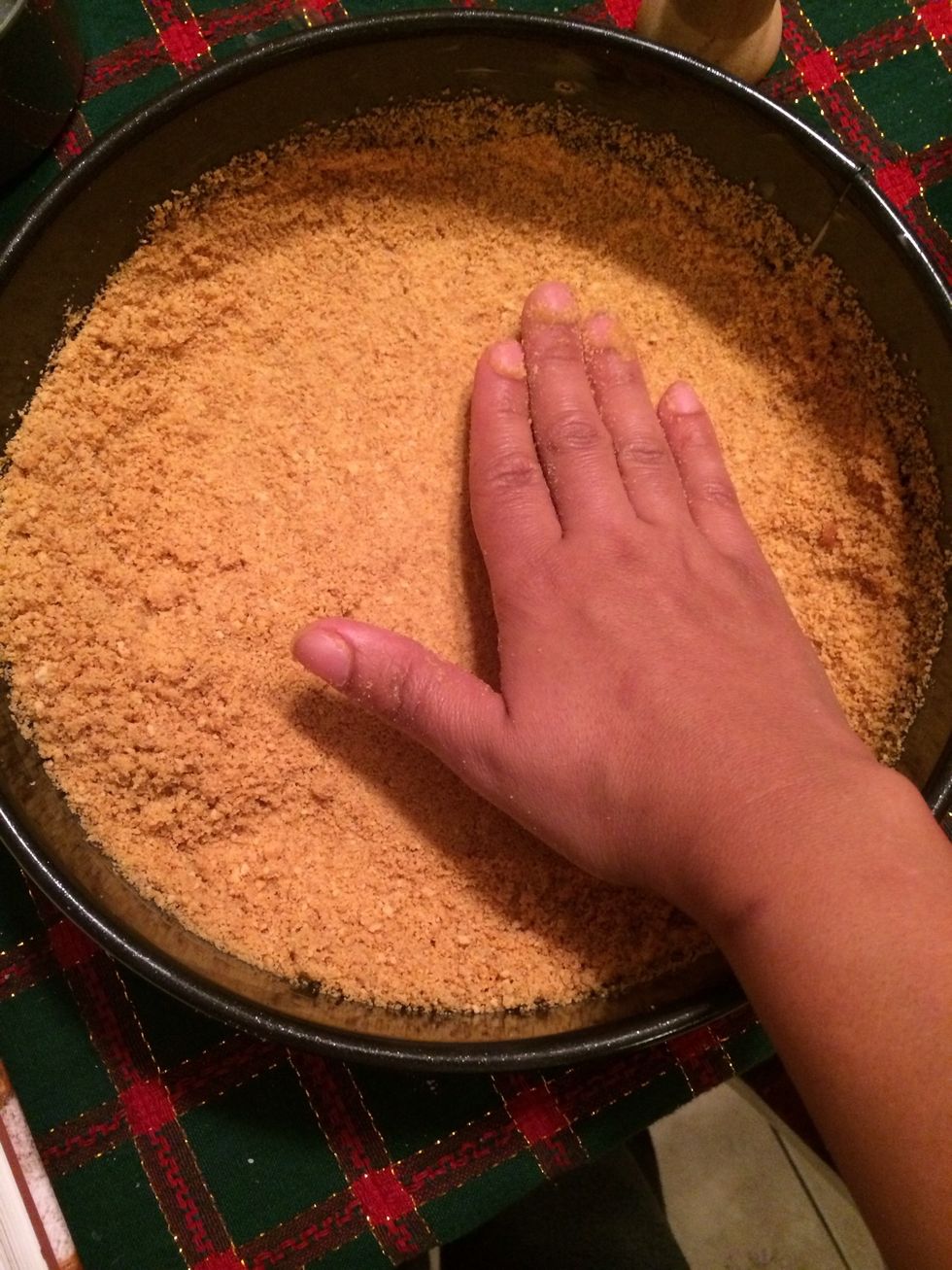 Pat and even layer of the crumbs on the bottom and halfway up the sides of the pan.