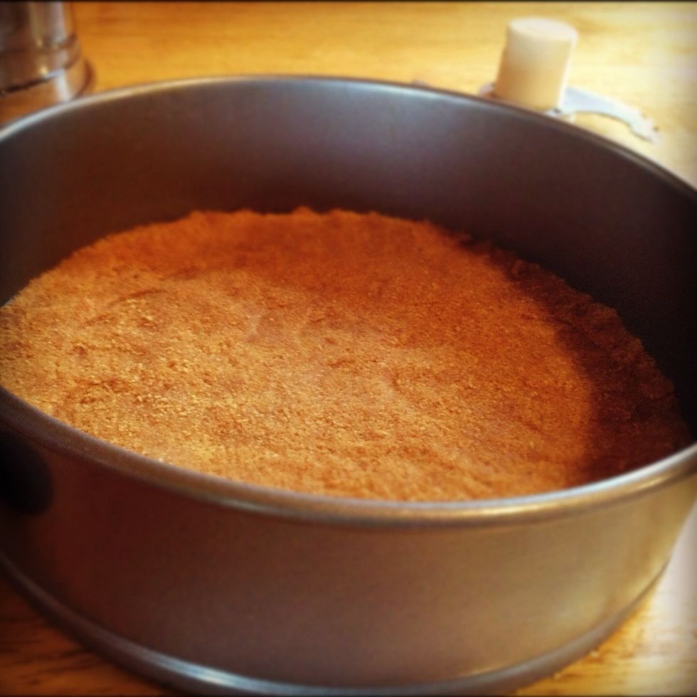 Pat crust firm into bottom of spring form pan.