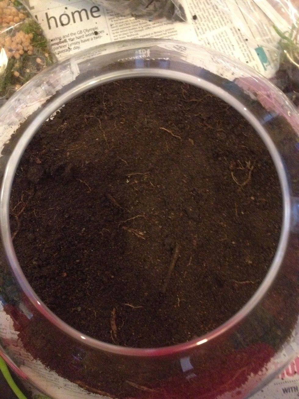 Pat down the soil.