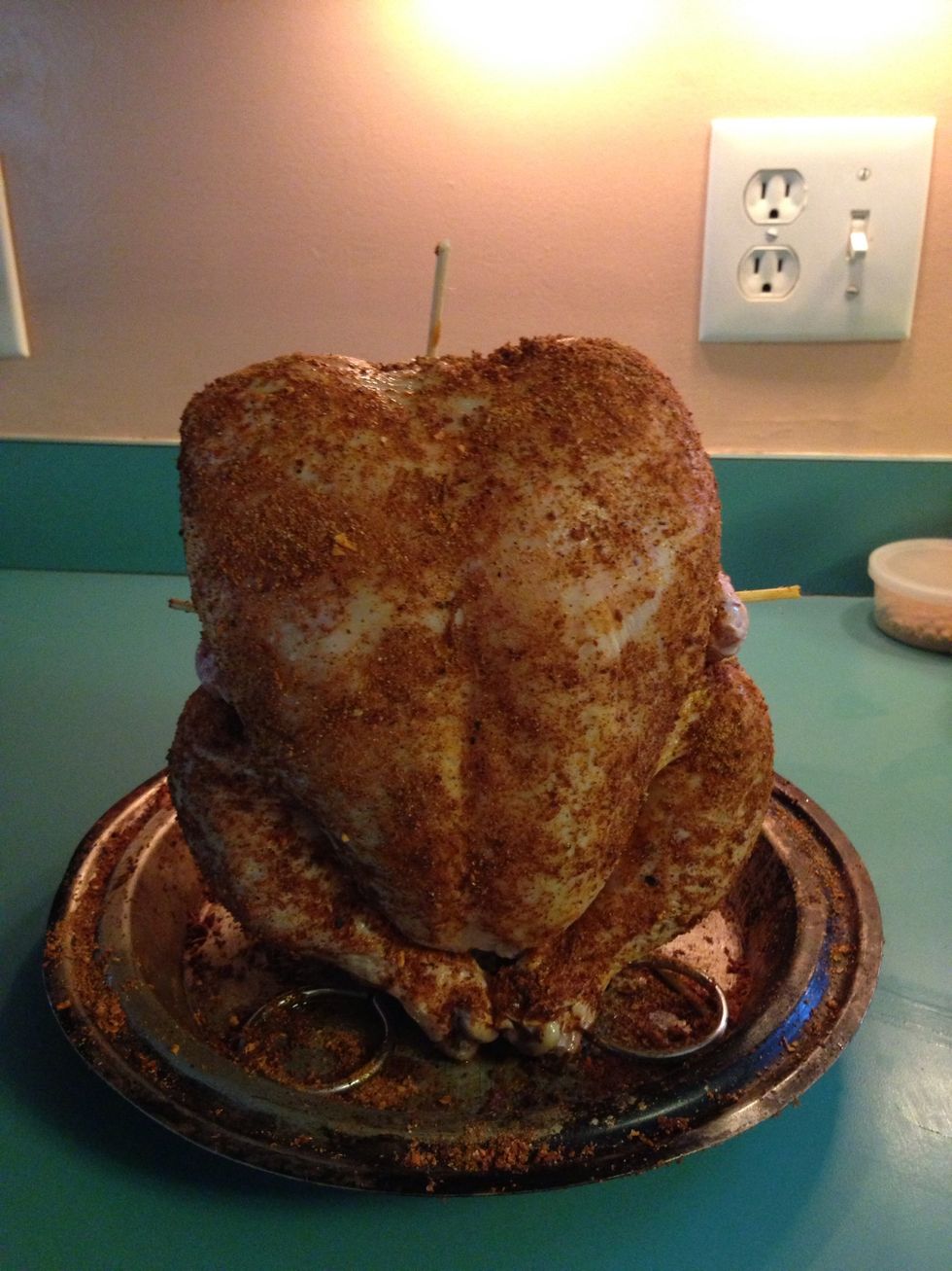 Pat rub mixture onto bird, covering it completely. Pin the wings close to the bird's body with skewers. Close the neck opening by pulling a flap of skin over the top and pinning into place.