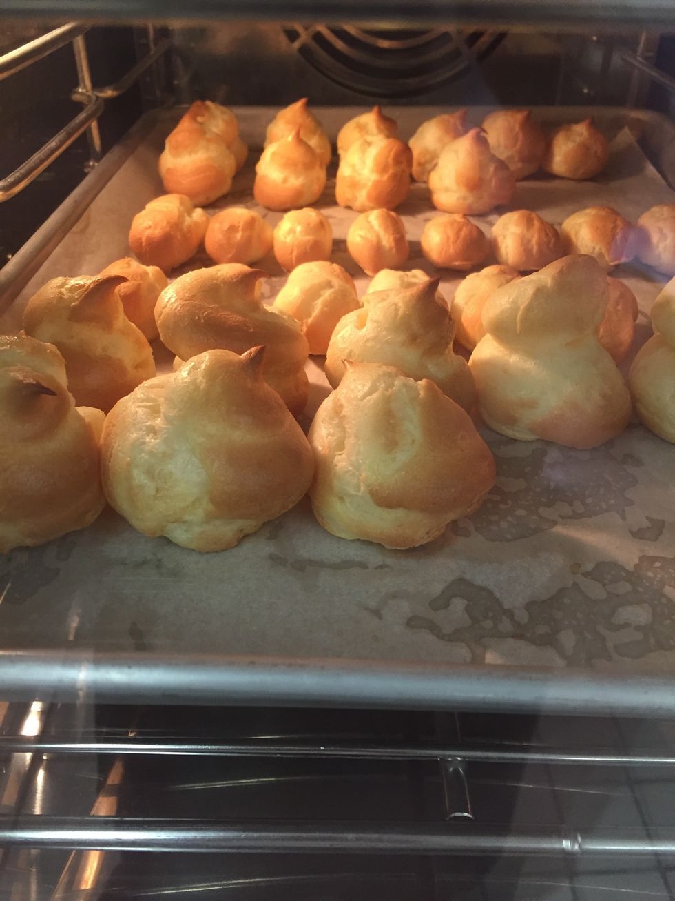 Pate A Choux will puff up and turn a golden brown.