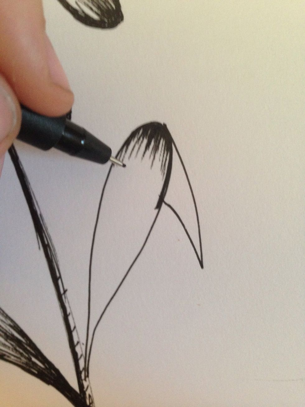 Pay attention to detail. The tip of this leave is darker because it is slightly curved down.