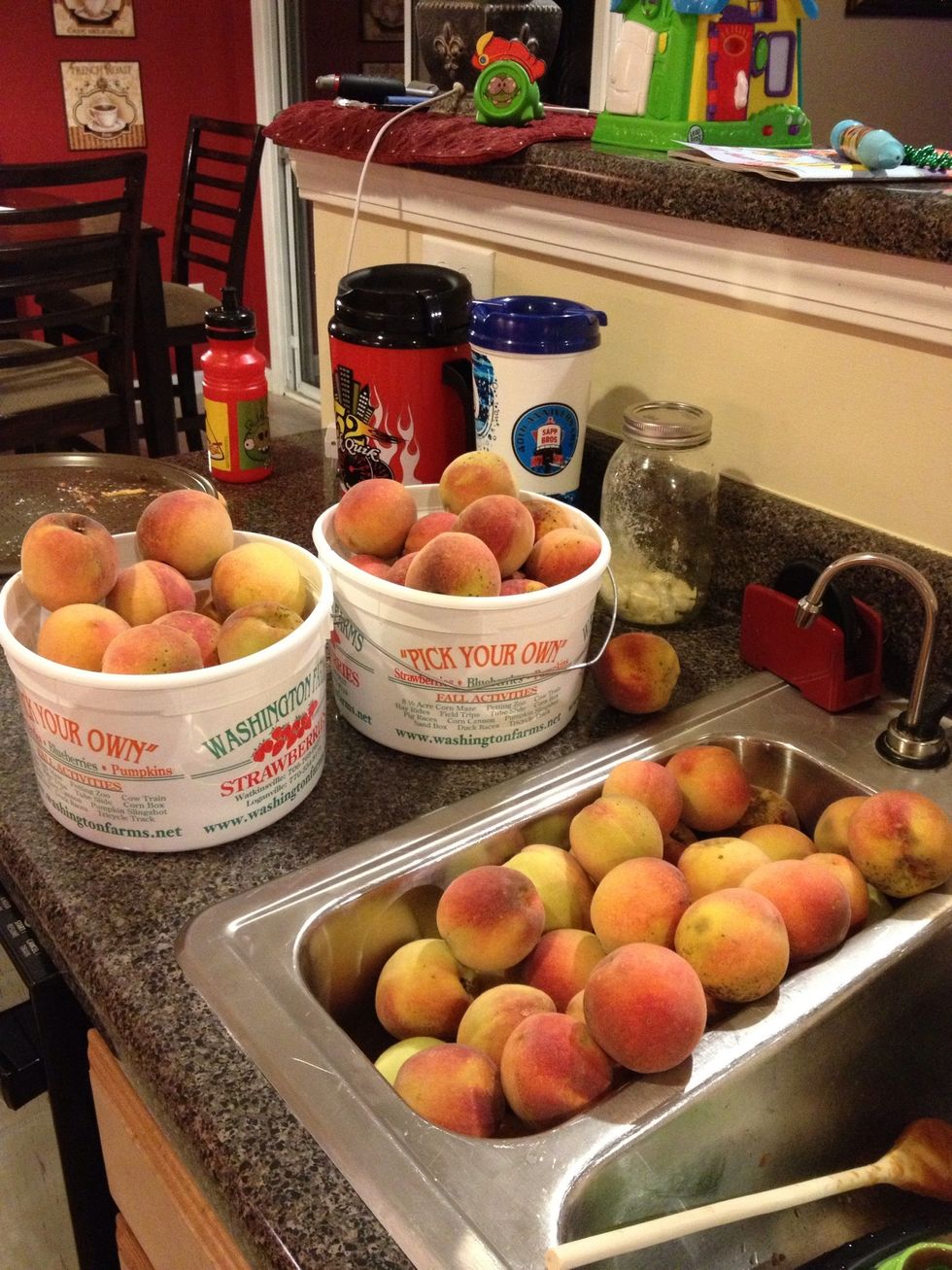 Peaches! These came from my tree and I can't possibly eat them all! What better way to preserve that peachy goodness than to make peach butter?