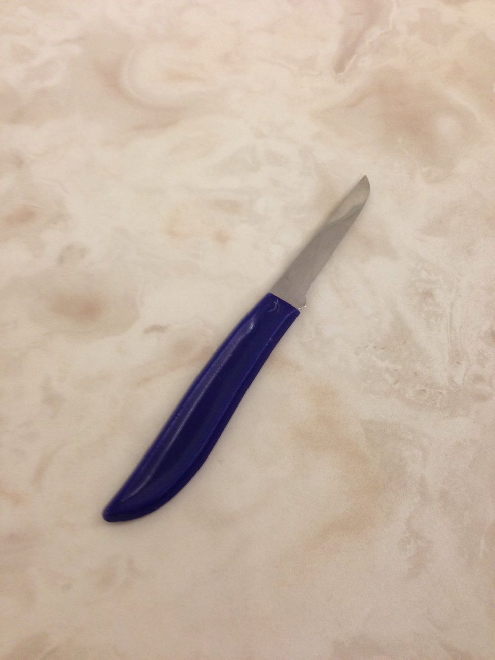Pearing knife this is used to cut fruits I can use this when I make apple pices