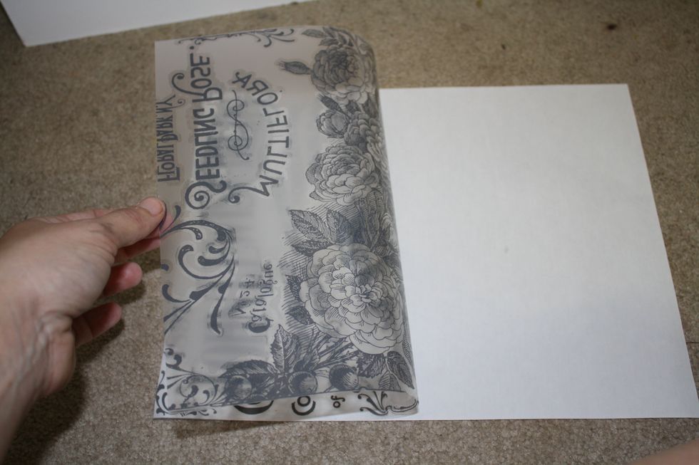 Peel the protective backing off the decor transfer!