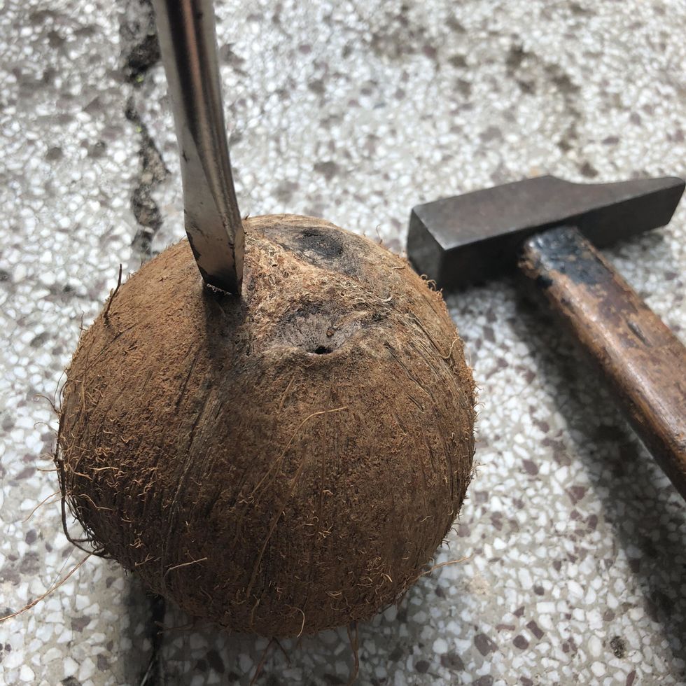 Percer 2 trous \u00e0 la base de la noix de coco.
