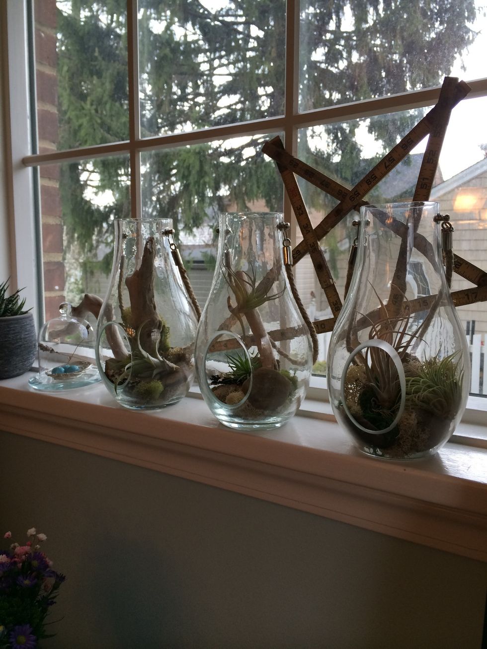 Perfect! Indirect sun from this window! Now all you need to do is take the plants out once a week and submerge in water for a minute. Let them dry then place back in the terrarium! Enjoy!