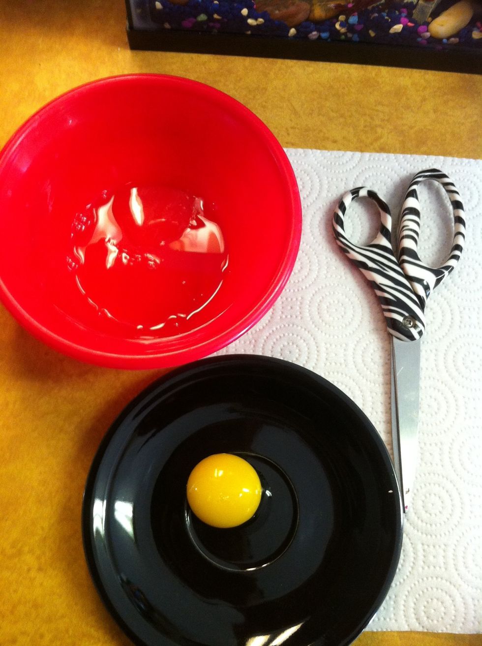 Perfect. You may take this time to wash your face with a dab of egg whites, rinse with warm water. This opens pores for our strips.