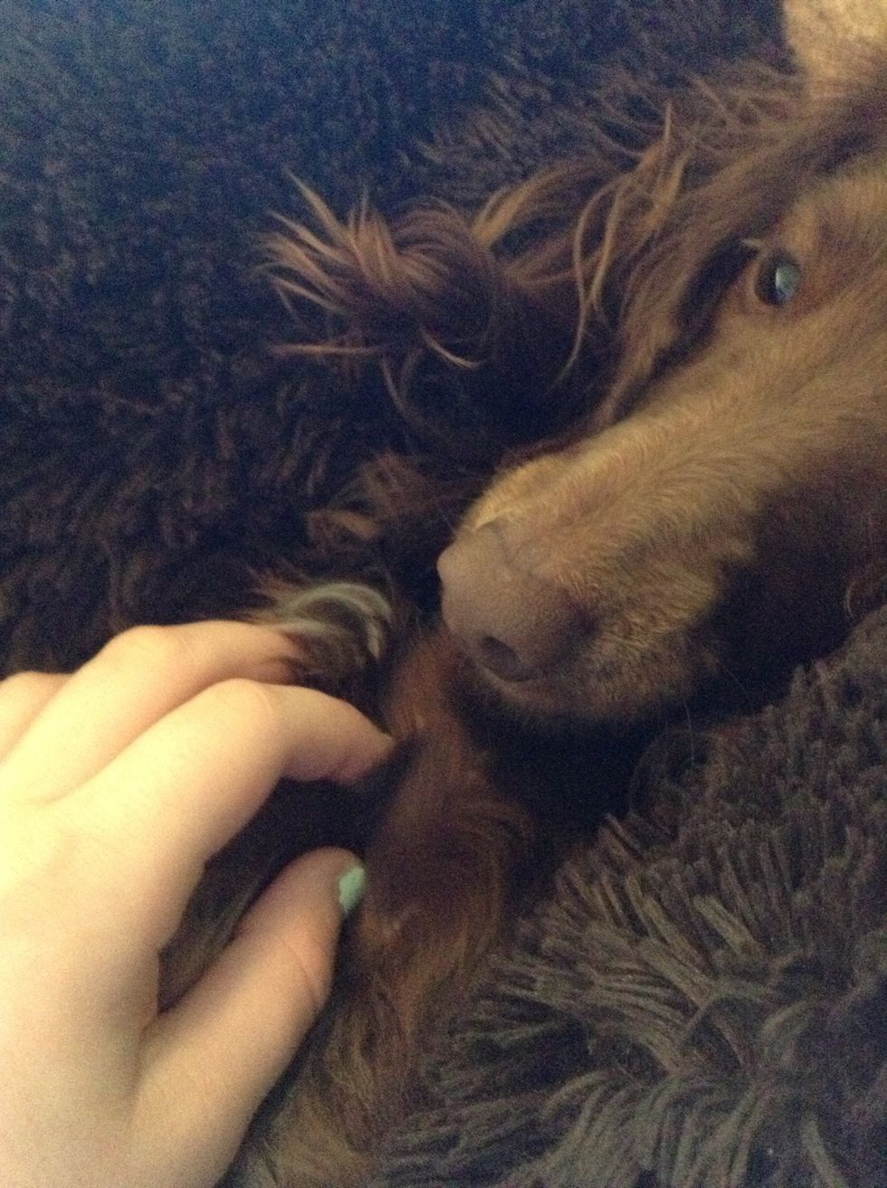Pet your dog! She will love this of course because she's a dog and also you are putting aside time for only her! Just rub where she has hair because you could irritate the areas without hair.