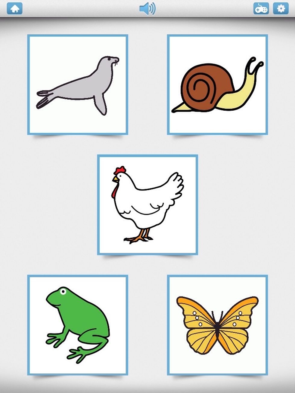 Photo touch, board Djur. Stegrande sv\u00e5righetsgrad. H\u00e4r med 5 bilder.