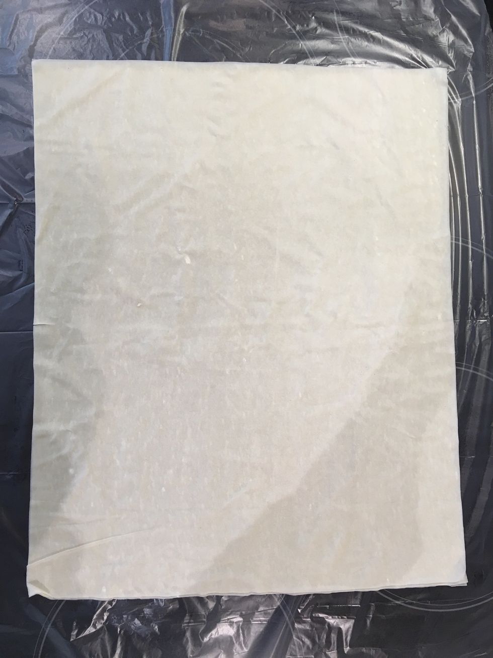 Phyllo pastry sheets
