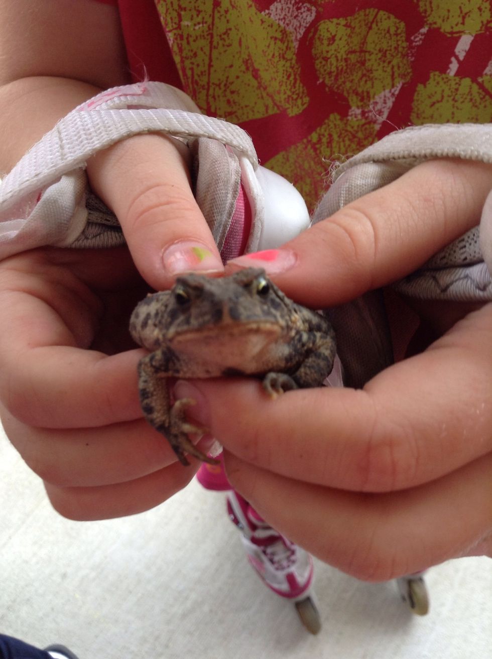 pic of the week: my sister caught a frog! isnt he cute? thanks so much for watching and have a great day! \u263a\u2764\ud83d\ude0a\u2764