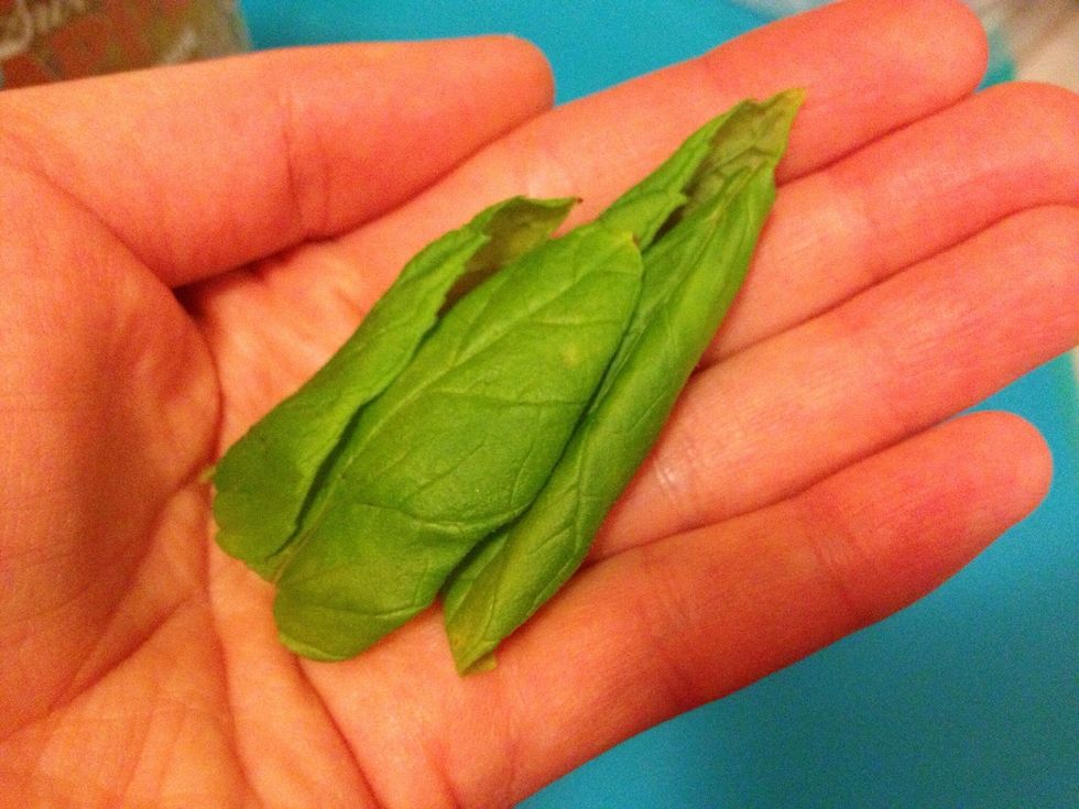 Pick 4 mint leaves..