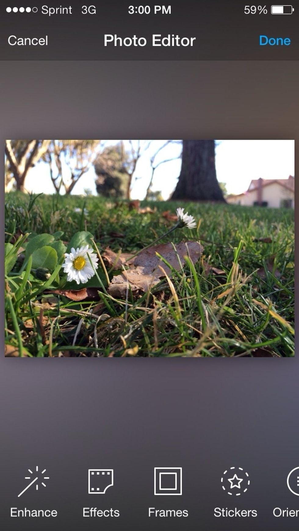 pick a photo that you want to edit.   you can click on the image I have provided here to see the full image