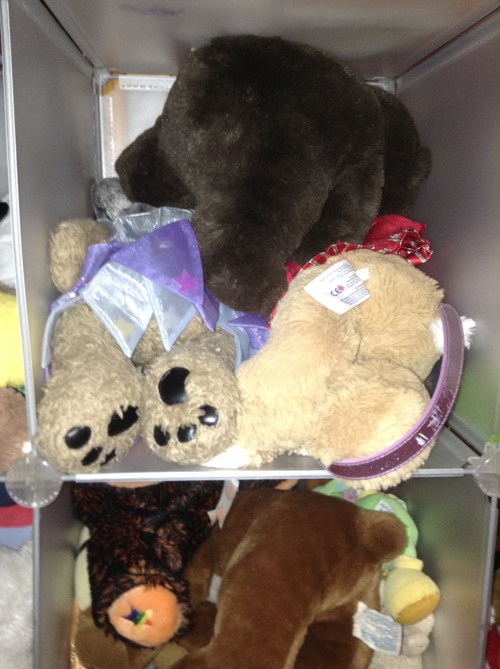 Pick a stuffed animal\ud83d\udc31\ud83d\udc36