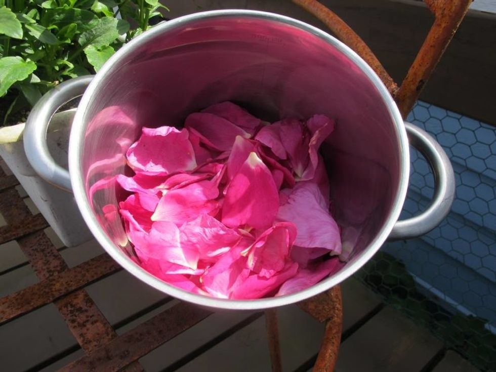 How to make rose water B+C Guides