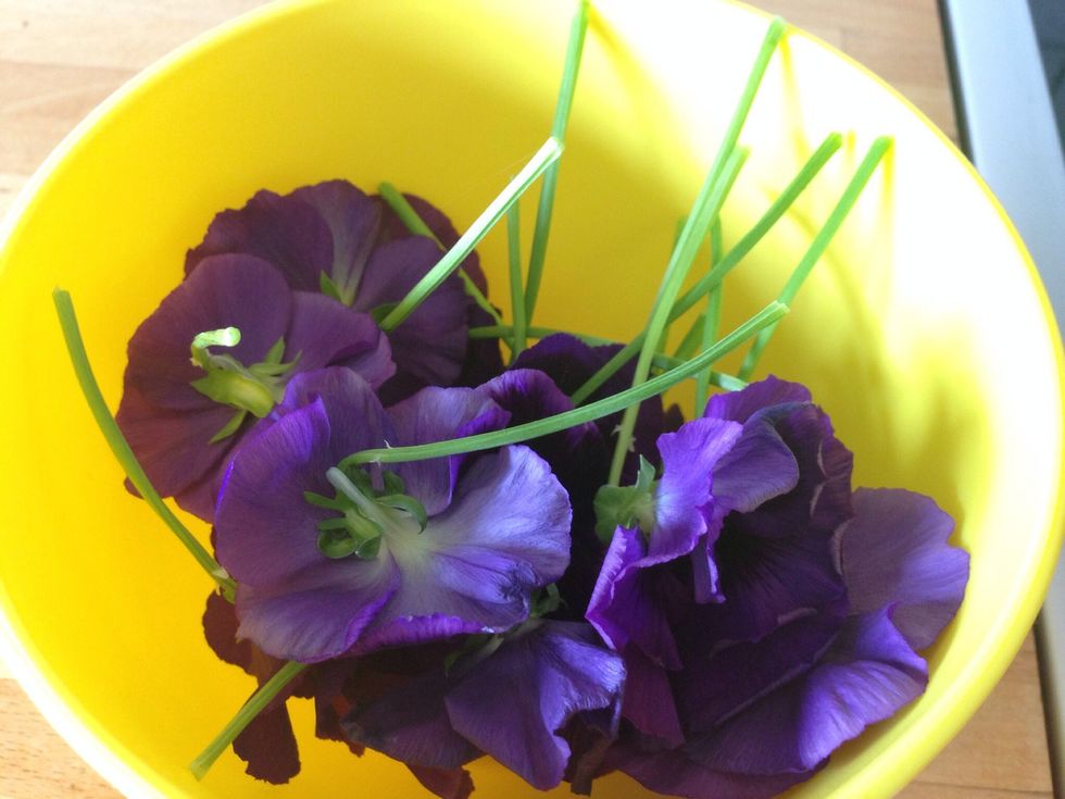 Pick the flowers, rinse them well and let them dry a little. (You should of course make sure that they are not sprayed, i have only used clean water for mine).