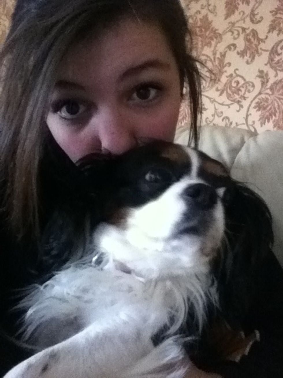 Pick up a dog