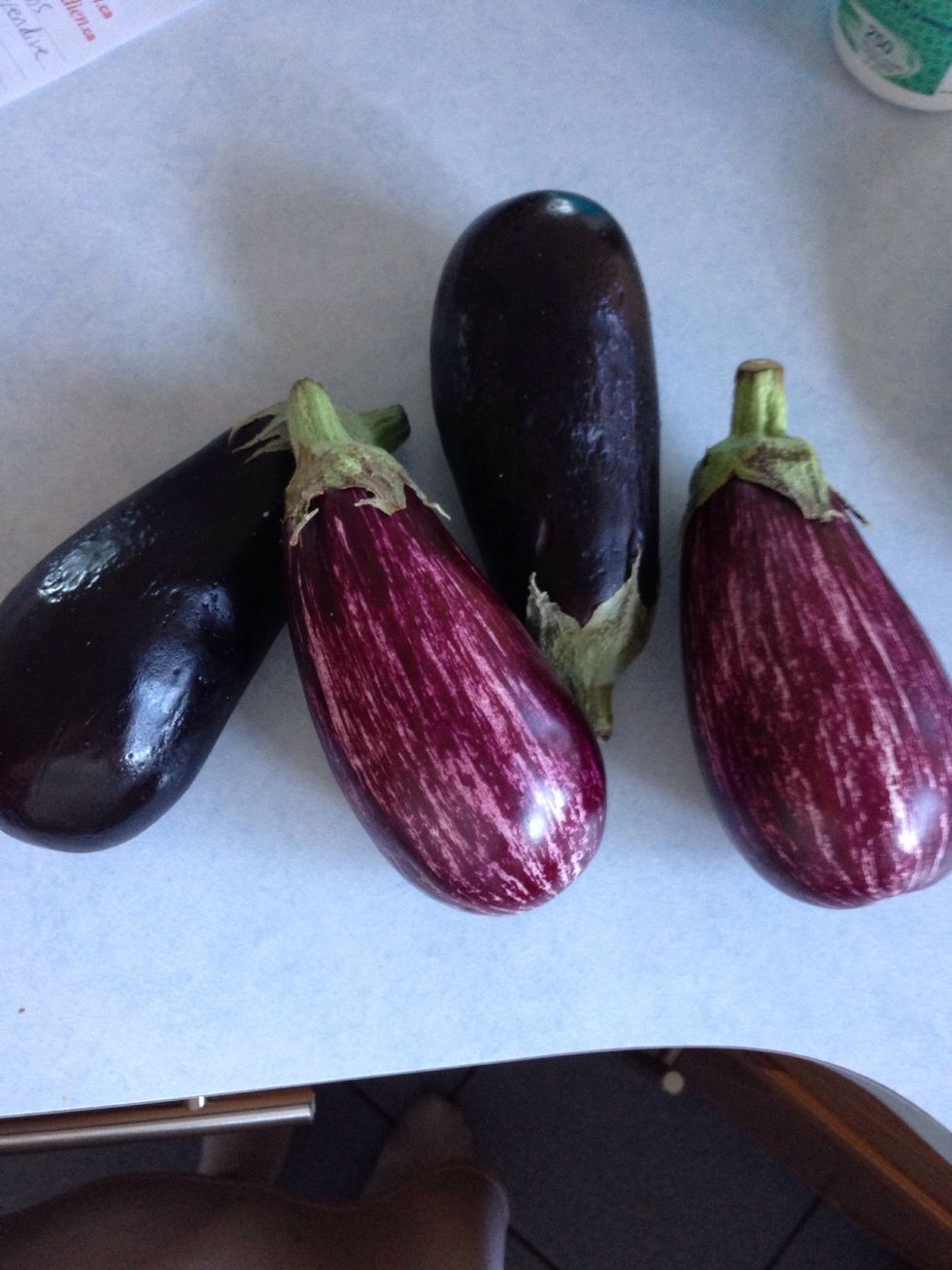 Pick your eggplants (choose 3)