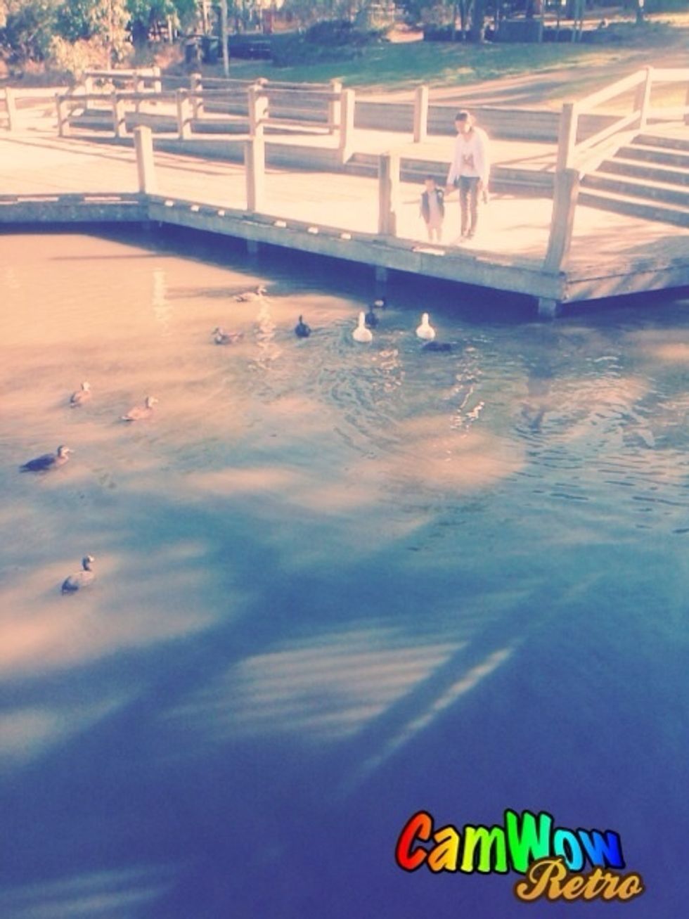 Pier