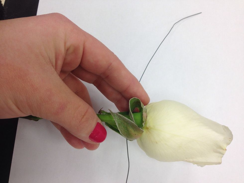 Pierce Wire the Rose through the calyx, and trim stem to approximately 1 inch.(Leave wire long!)