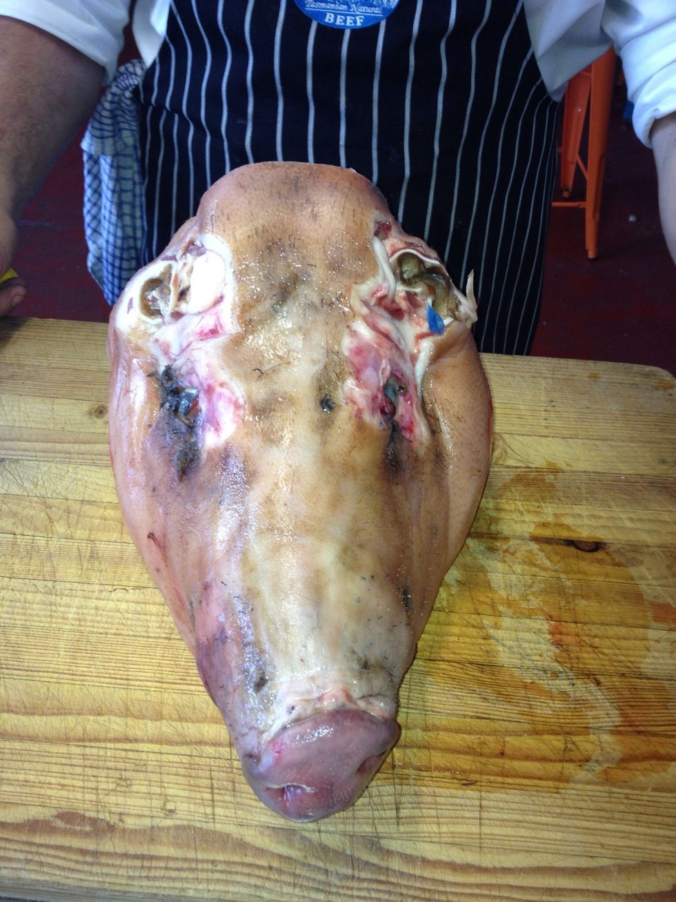 Pig's head minus ears