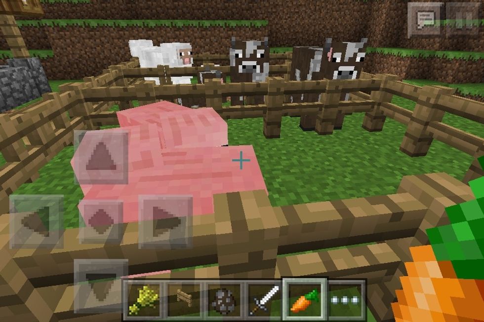 Pigus (yogscast simon quote) making love. Aww a little pigu.