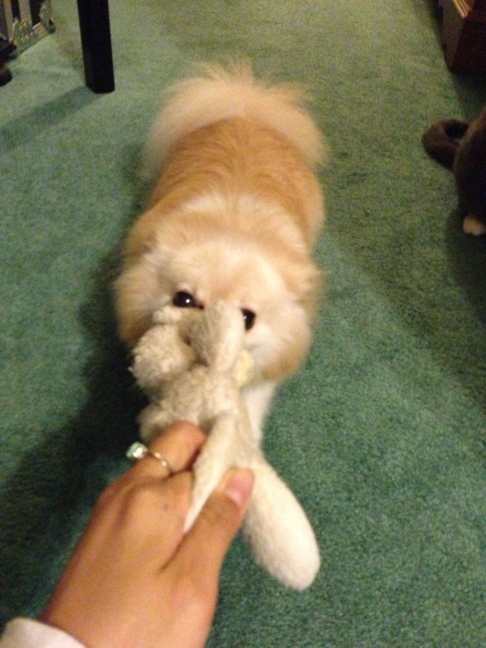 Pika says finally done now lets play !!!!!