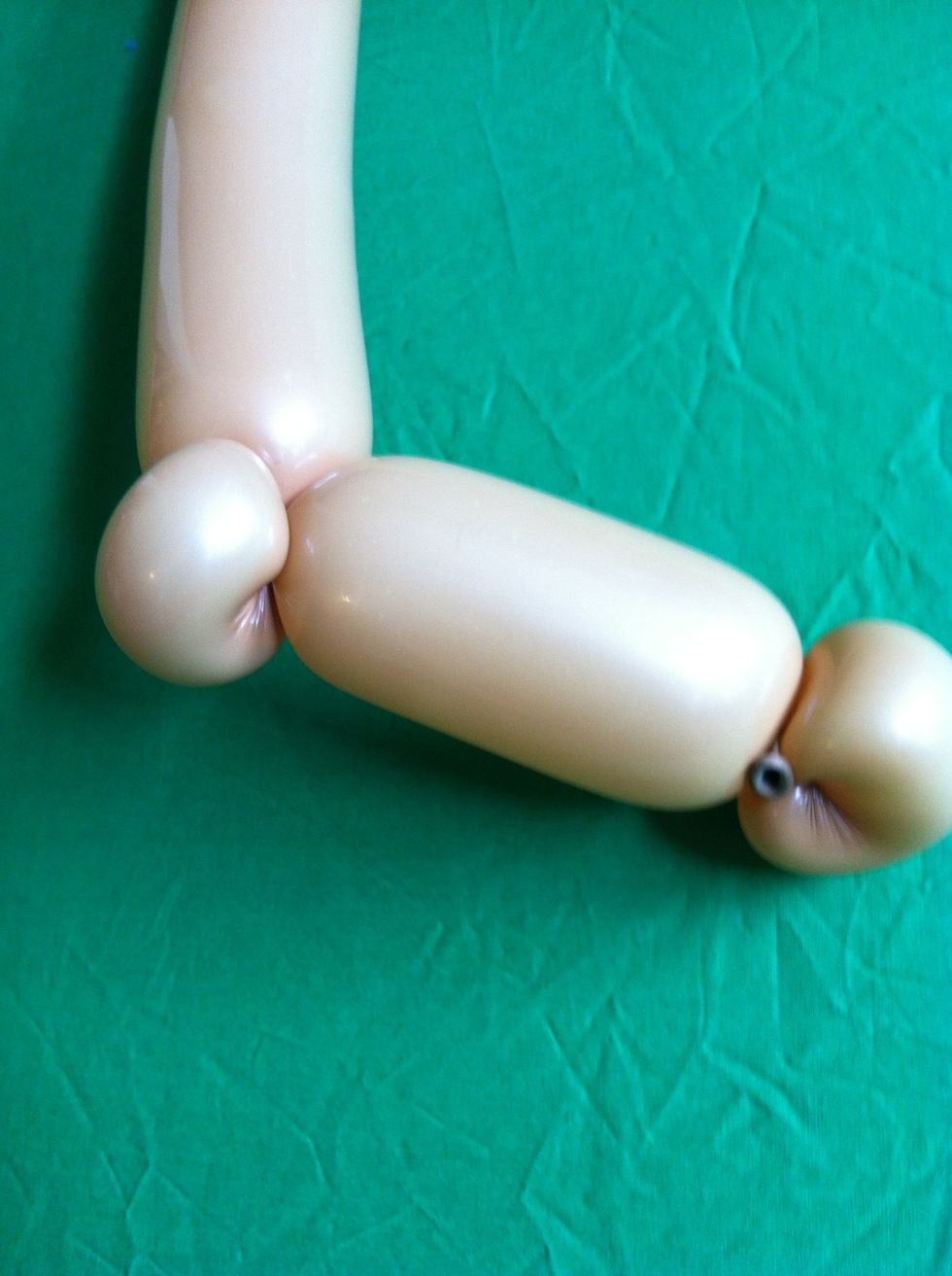 Pinch twist this bubble as well for the second ear and anchor point