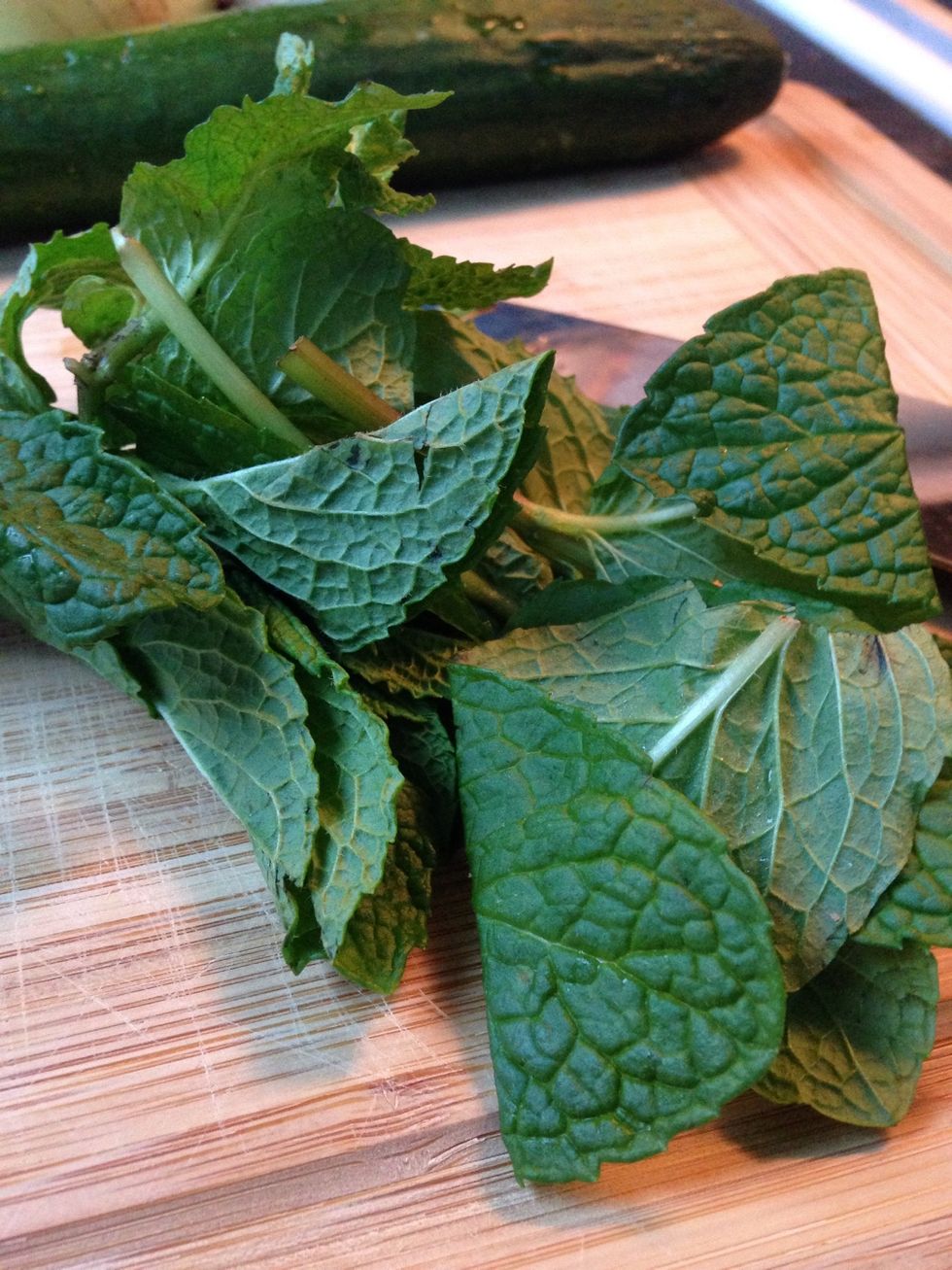 Pint the mint leaves off the stems discard those