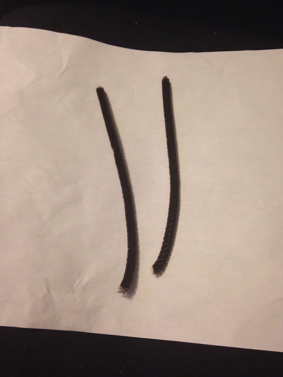 Pipe cleaners cut in half
