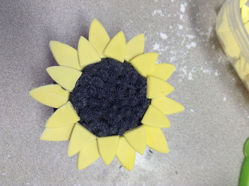 Pipe the centre of the cupcake with a small star shaped pipe until full (pipe as above)