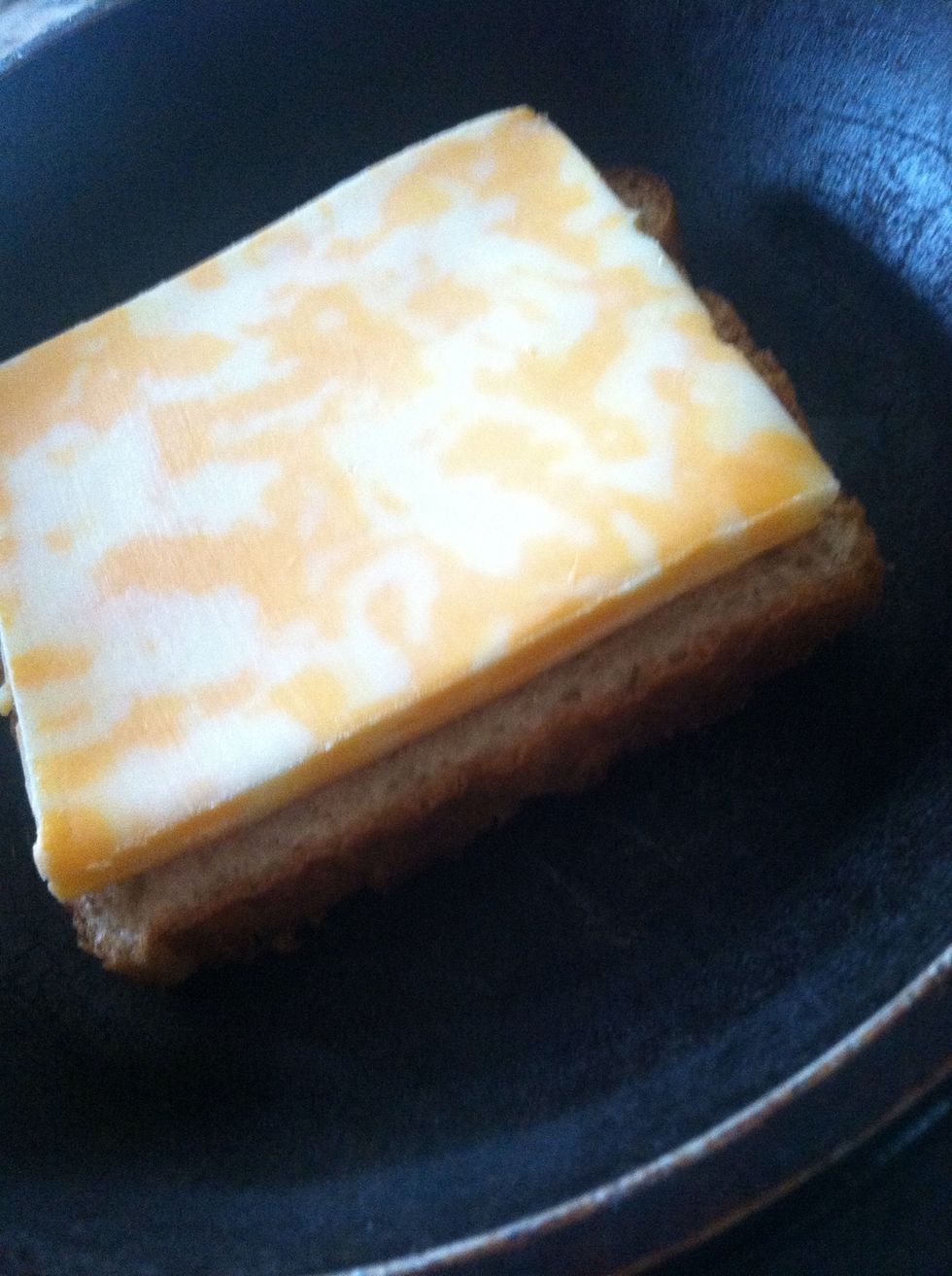 Place 2 slices of cheese on top of bread slice