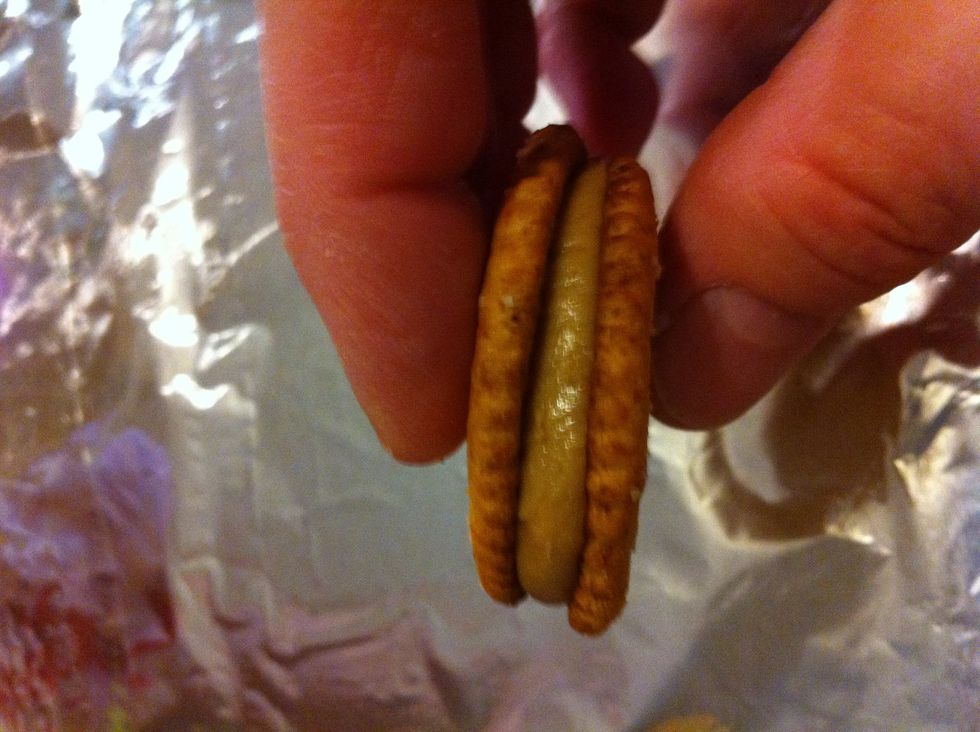 Place 2nd cracker on top to make a Sammie.