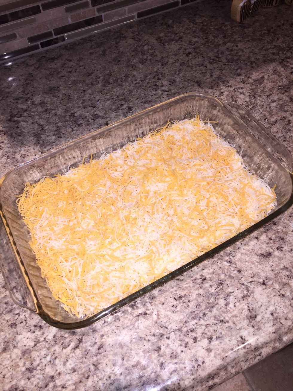 Place 3 cups cheese mixture into a 9x13 inch baking dish
