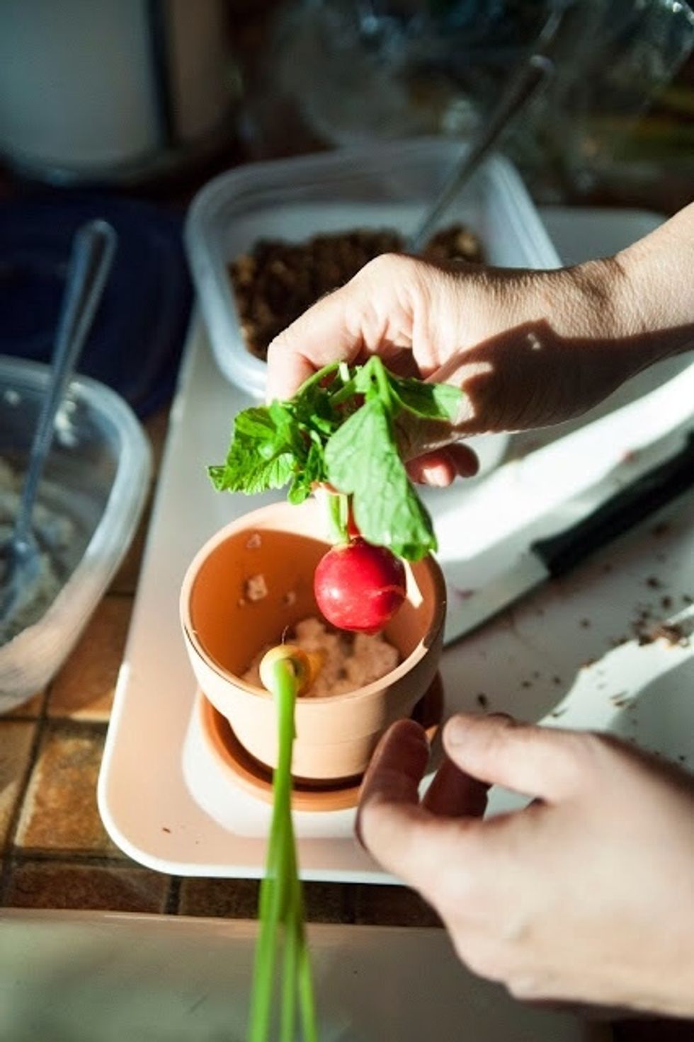 Place a bit of the goat cheese dressing in the bottom or each little pot. "Plant" your cleaned and scrubbed vegetables in the dressing.